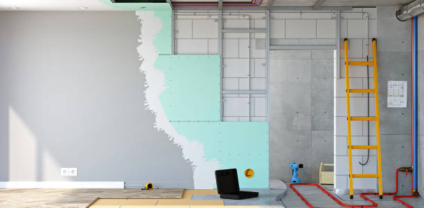 Best Attic Mold Removal  in Garrison, ND